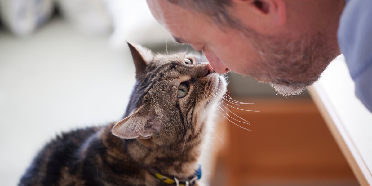 Immagine che raffigura una persona che conversa con un gatto.