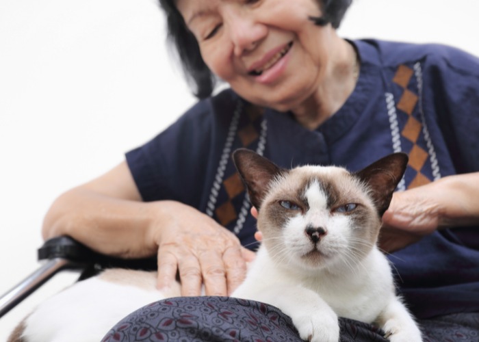 Immagine che ritrae una donna seduta con un gatto in grembo, impegnata in una conversazione.