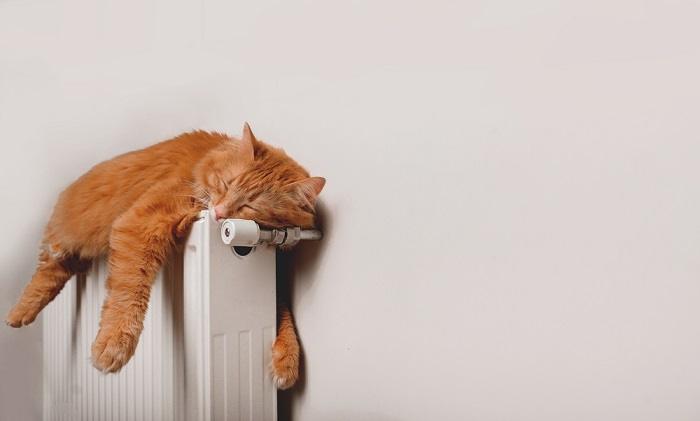 Un gatto rosso si gode un piacevole pisolino su un termosifone caldo, trovando conforto nel calore rilassante.