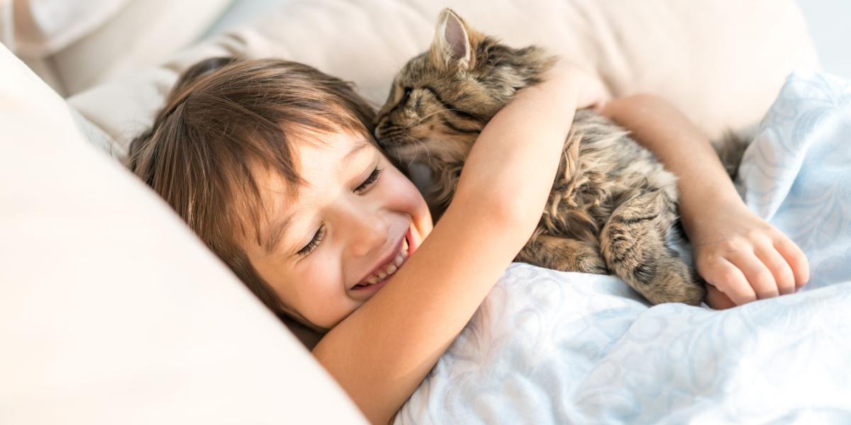 Foto di un gatto che lecca affettuosamente il pelo del suo padrone, mostrando un momento intimo e affascinante di legame tra un gatto e il suo umano.