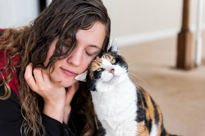 L'immagine ritrae un momento commovente in cui un gatto si strofina contro il viso di una donna.