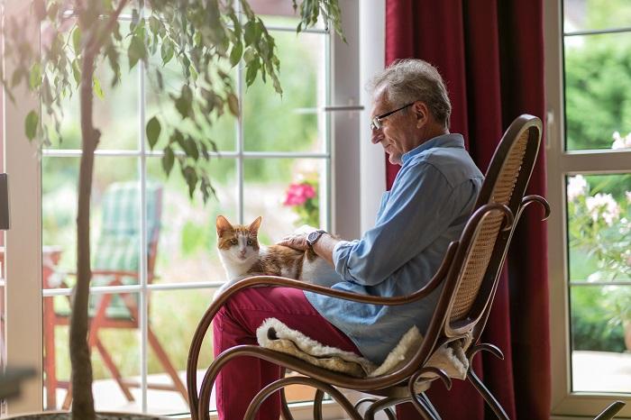 Un gatto anziano riposa sulle ginocchia di una persona e condivide un momento di tenerezza che esemplifica la rassicurante compagnia tra i gatti e i loro accudenti umani.