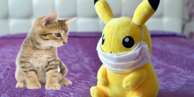 150 nomi di Pokemon carini per gatti con significato