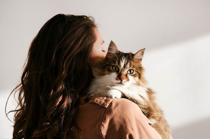 Un'immagine emozionante che mostra una donna che abbraccia teneramente un gatto, a simboleggiare il profondo legame e l'affetto tra gli esseri umani e i loro compagni felini.