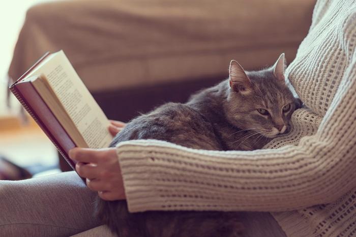 donna legge libro gatto seduto sulle ginocchia