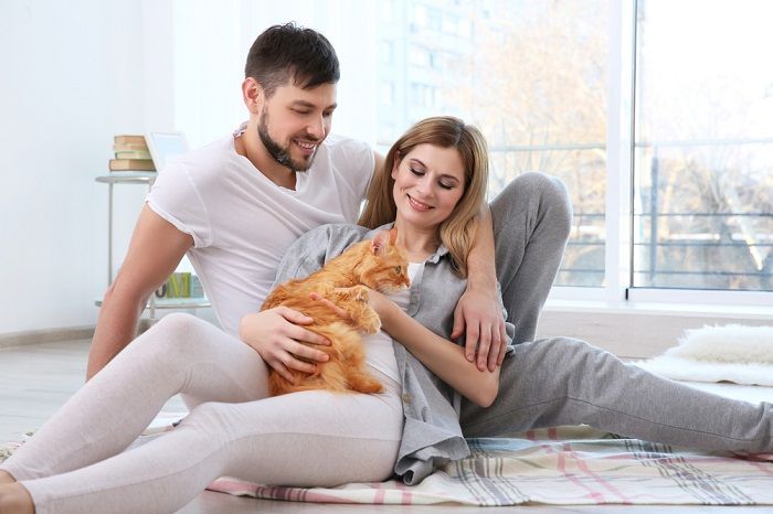 Immagine che mostra il commovente legame tra un gatto e una coppia, a simboleggiare l'affetto condiviso, il conforto e la gioia che gli animali domestici possono portare a una coppia.