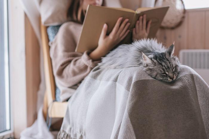 Un'immagine che raffigura un momento toccante tra un gatto e un essere umano.