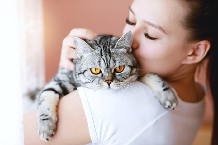 Un momento commovente tra un gatto e un umano, che mette in mostra il loro legame e la loro connessione speciali.