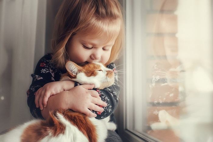 Un gatto e un bambino insieme, che raffigurano una commovente interazione tra un compagno felino e un bambino piccolo.