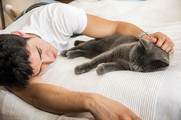 Uomo sdraiato su un letto con un gatto