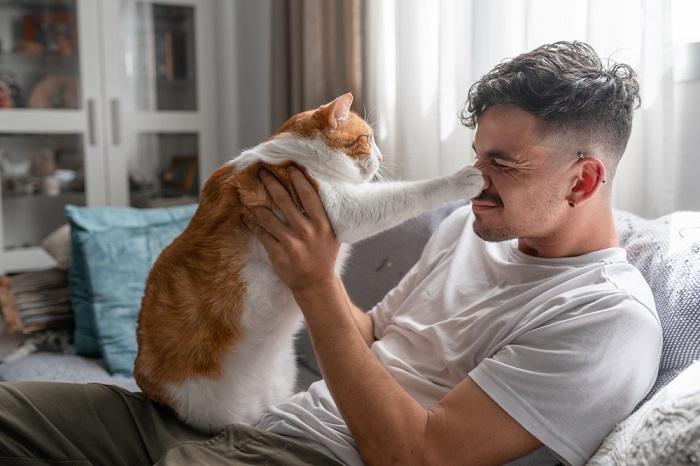 Immagine di un gatto che interagisce con un uomo, raffigurando una piacevole interazione che dimostra la reciproca compagnia e il piacere che condividono.