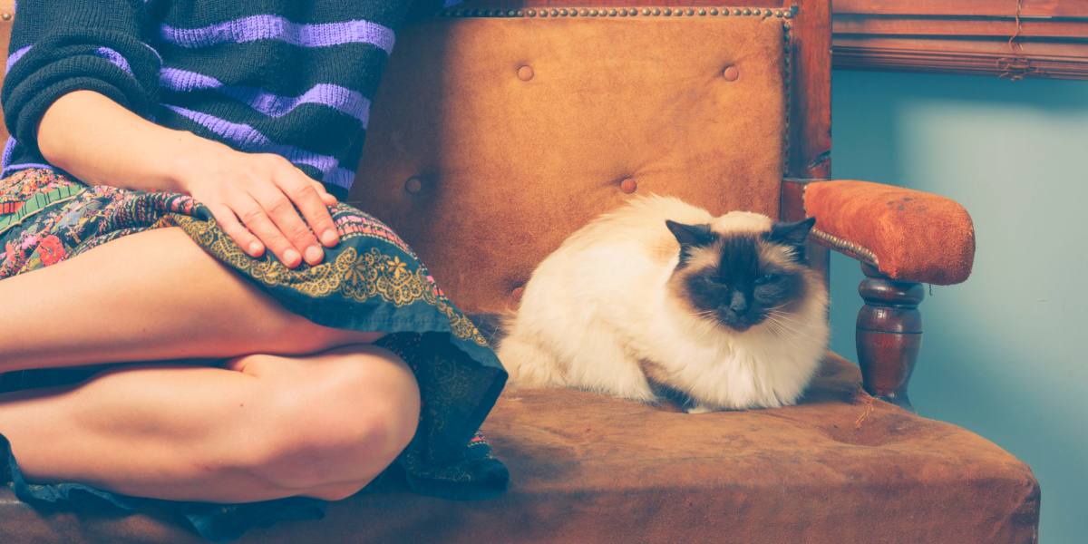 Un'immagine che raffigura una donna che interagisce con un gatto.