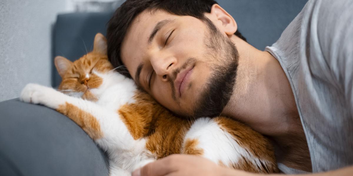 Momento toccante tra un uomo e il suo gatto mentre si scambiano un caldo abbraccio.