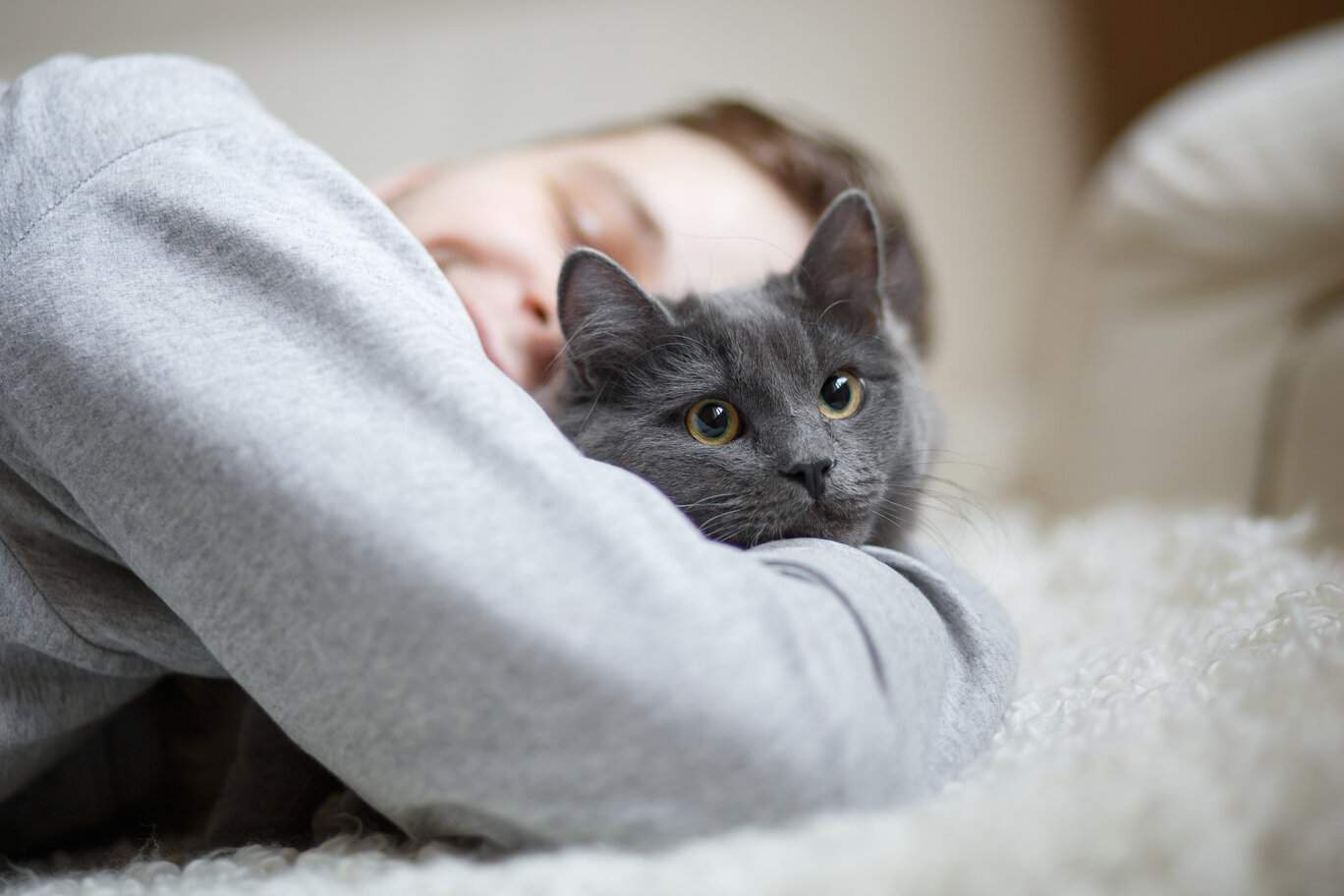 Si verifica un momento toccante quando un uomo abbraccia amorevolmente il suo gatto mentre entrambi riposano su un letto.