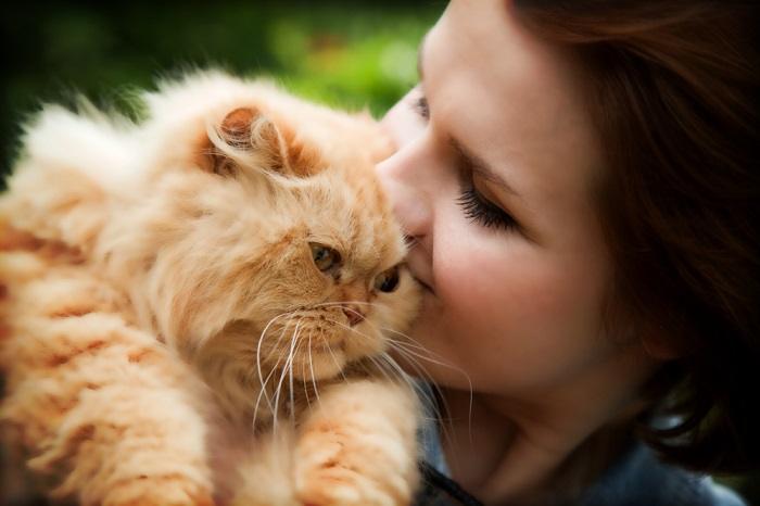 Immagine di un gatto persiano accanto a una donna, che mette in risalto l'eleganza e la bellezza di questa razza felina, nonché l'affetto tra il gatto e il suo proprietario.