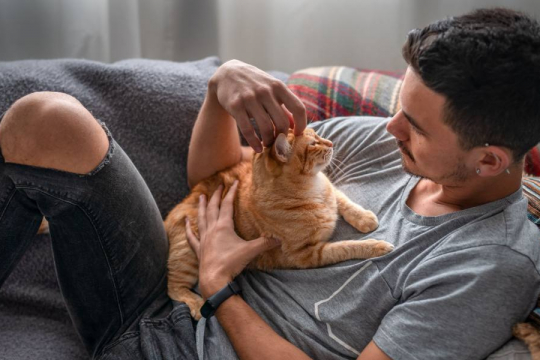12 Segnali di un gatto estremamente felice