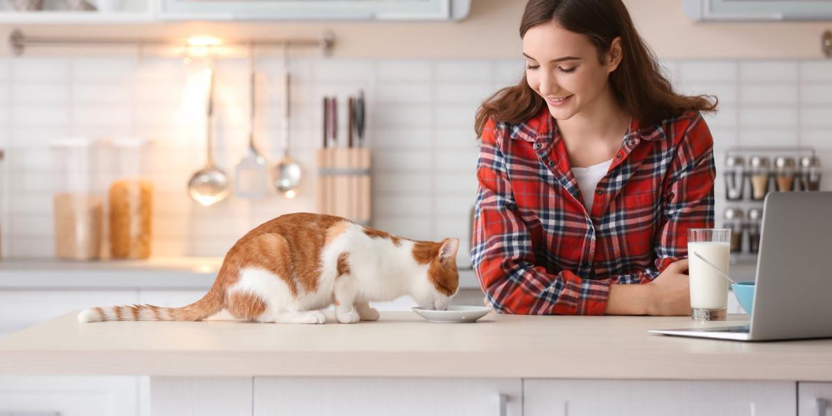 L'immagine ritrae un gatto e una donna impegnati in un'interazione durante il pasto, illustrando la compagnia e il legame tra gli esseri umani e i loro compagni felini.