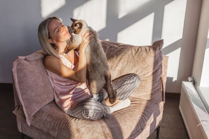 Immagine di un gatto giocoso che lecca affettuosamente la mano del suo padrone, mostrando un commovente momento di compagnia.