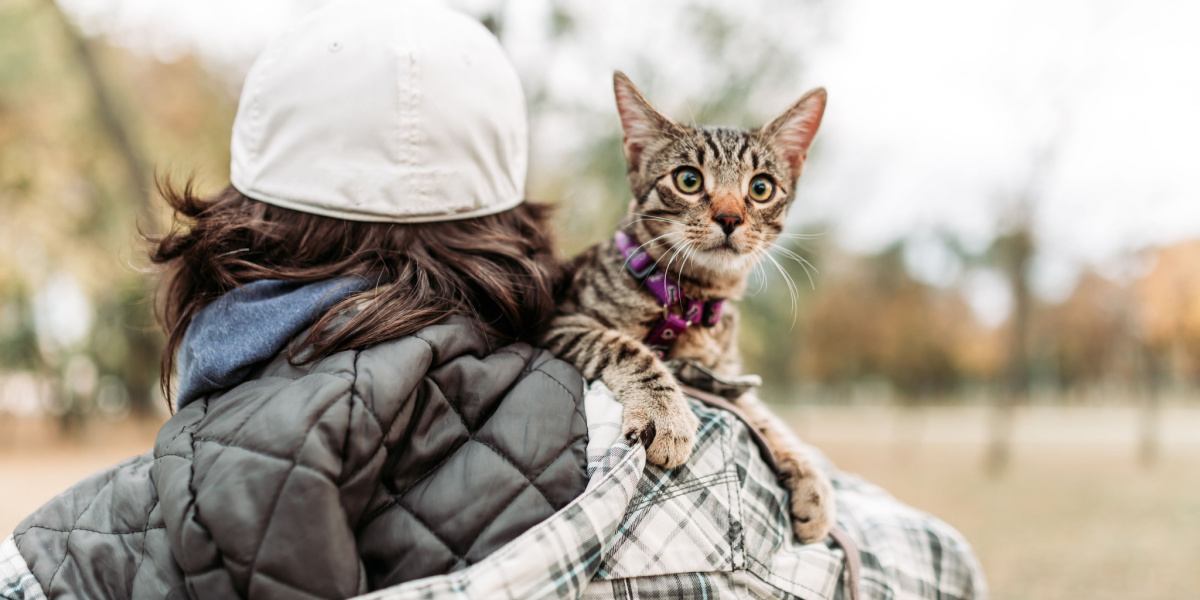 Immagine di un uomo che porta in braccio un gatto dall'aspetto calmo e soddisfatto, mentre camminano insieme sullo sfondo di uno scenario panoramico.