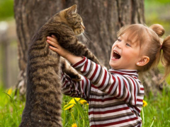 little girl playing with a cat.