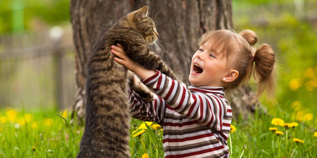 bambina che gioca con un gatto.