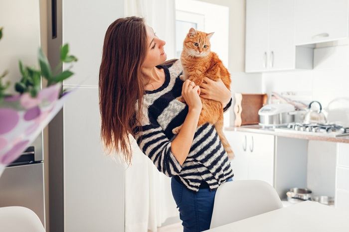 approccio per disciplinare un gatto