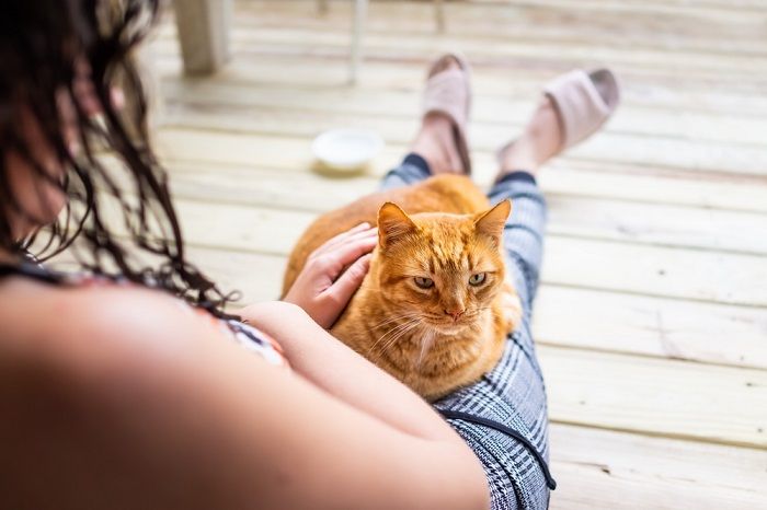 Giovane donna seduta sul pavimento che tiene in braccio un gatto.