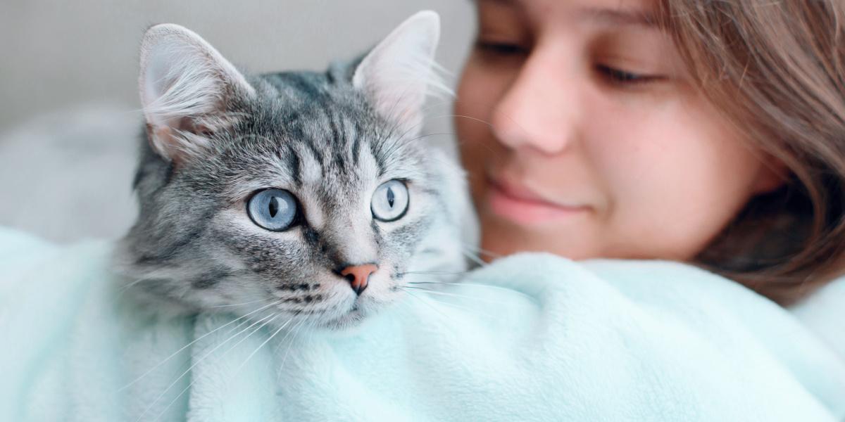 Gatto e ragazza insieme.