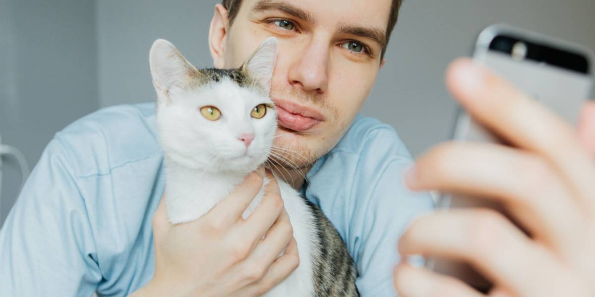 Gatto e uomo insieme.