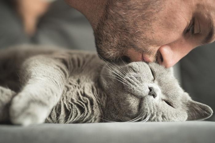 Un'immagine accattivante che ritrae un gatto impegnato in un gesto affettuoso che ricorda un bacio.