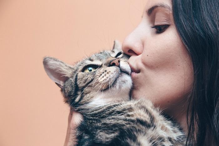 Un'adorabile immagine che cattura un momento commovente di due gatti impegnati in un'interazione dolce e affettuosa.