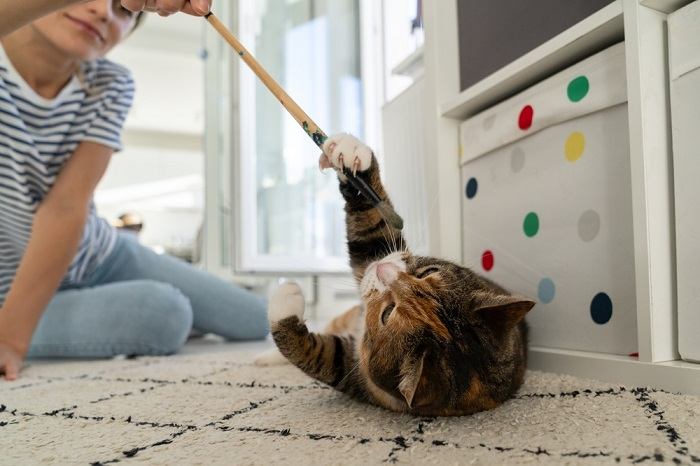 Un gatto che gioca con una donna, a dimostrazione di un'interazione interattiva e giocosa tra un gatto e la sua padrona.