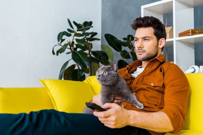 uomo con telecomando e gatto grigio