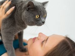 woman holding her British shorthair cat