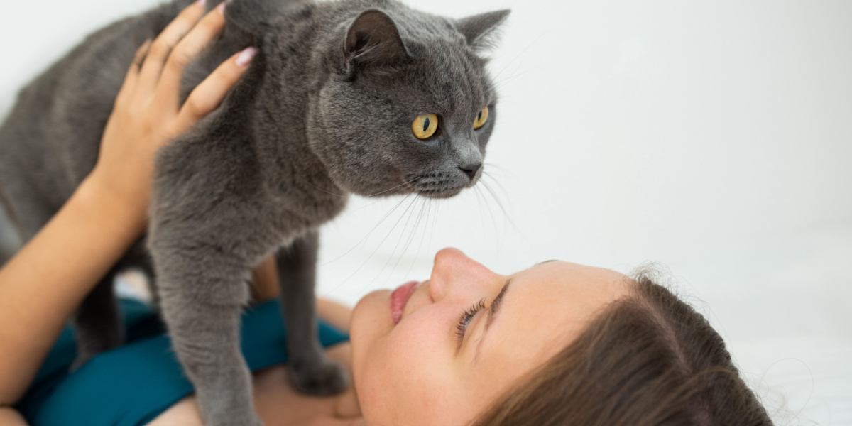 donna che tiene in braccio il suo gatto British Shorthair