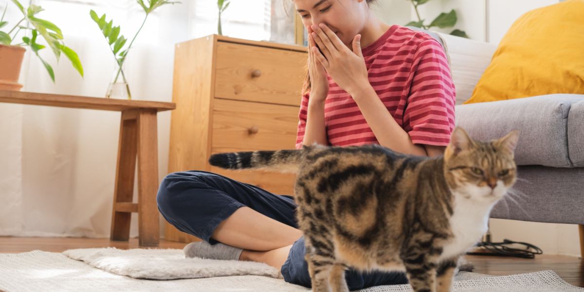 Gatto che annusa attivamente l'ambiente circostante.