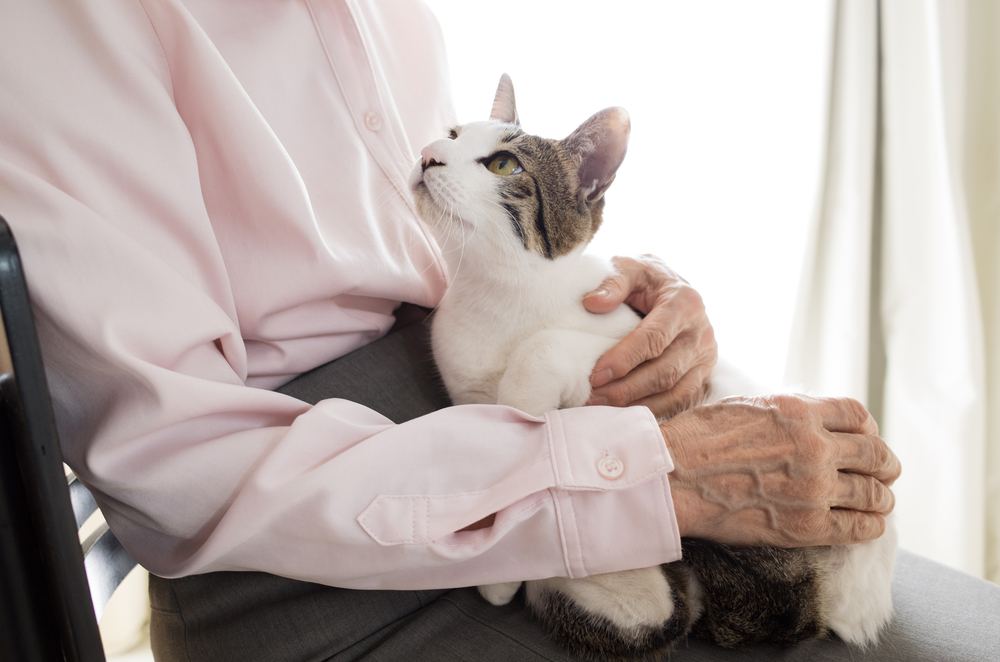 Un'immagine che ritrae una persona anziana che tiene in braccio un adorabile gatto.