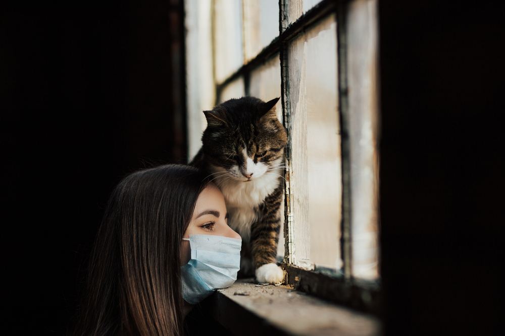 Un'immagine che raffigura una ragazza con il suo gatto triste ma adorabile.