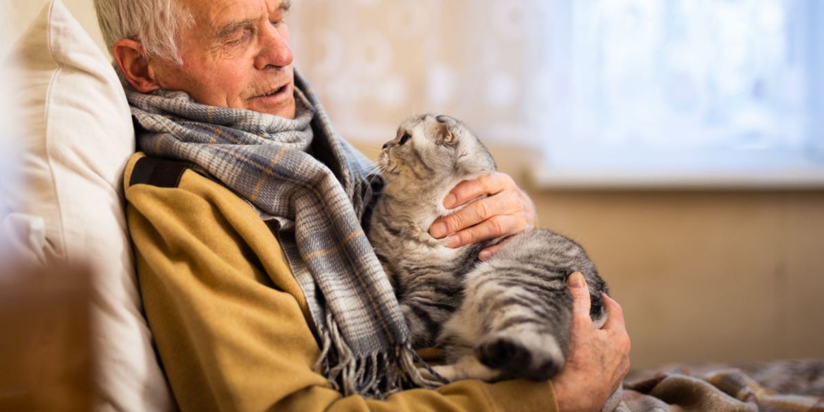 Un'immagine che ritrae un uomo anziano dai capelli grigi che indossa un comodo maglione e tiene in braccio un gatto Scottish Fold.