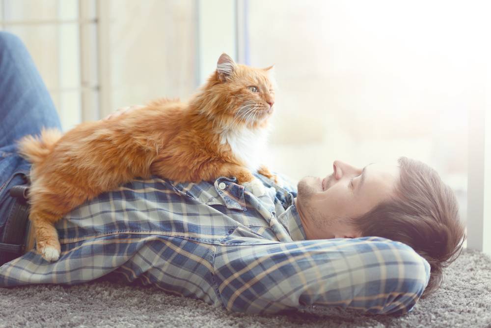 Giovane uomo con un simpatico gatto sdraiato sul pavimento