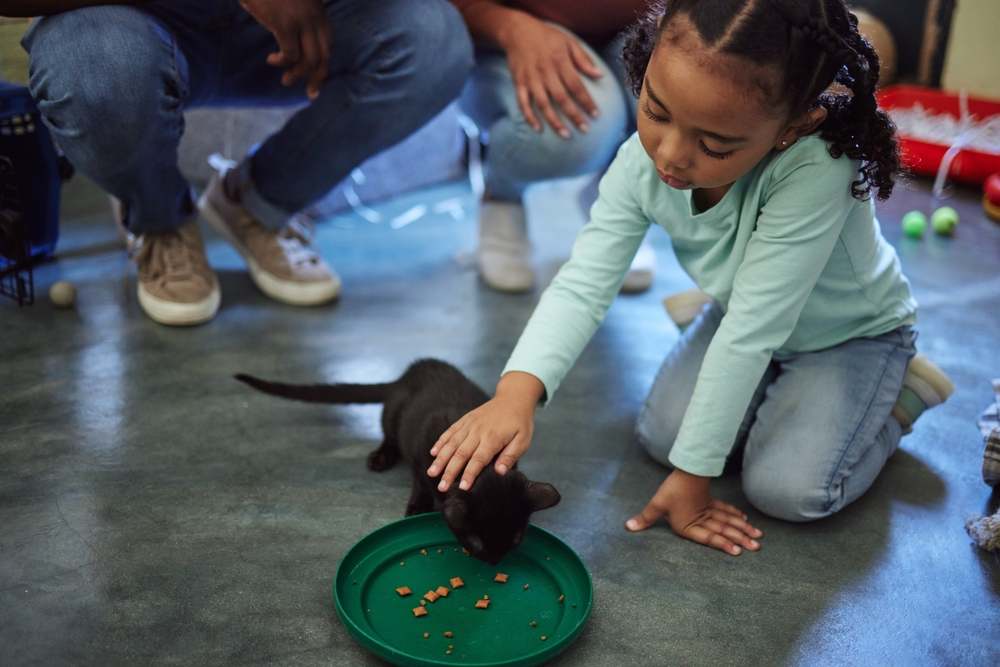 ragazza che allatta un gattino in un rifugio per animali