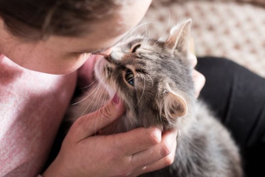 10 Modi in cui il tuo gatto comunica con te