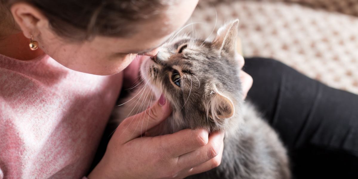 ragazza che bacia il gatto sul naso