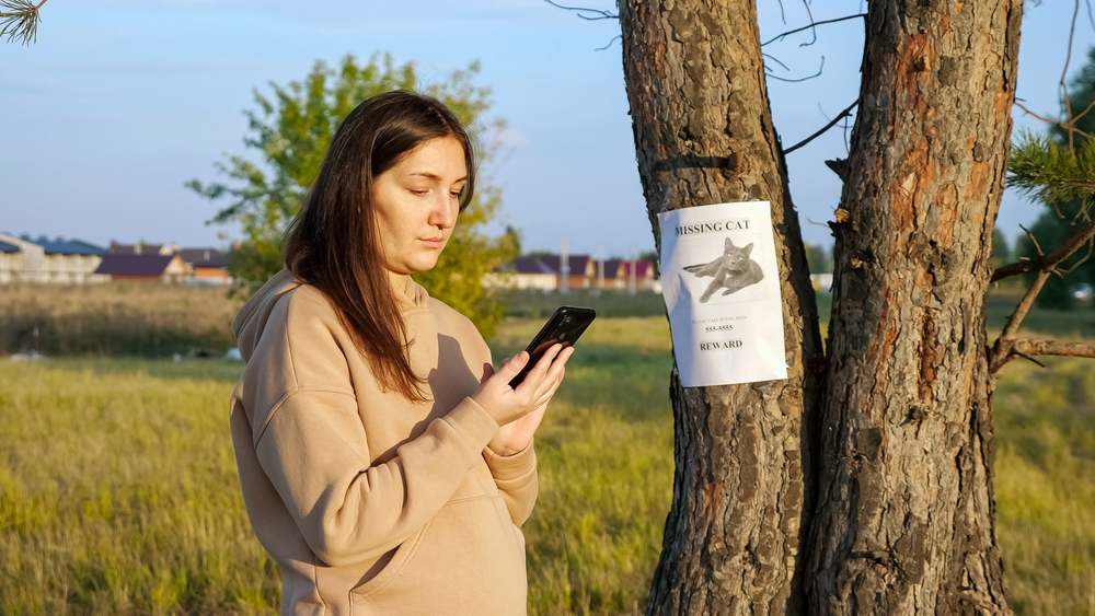 manifesto gatto scomparso appeso al tronco dell'albero