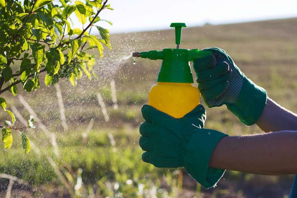 spruzzatore manuale con pesticidi in giardino