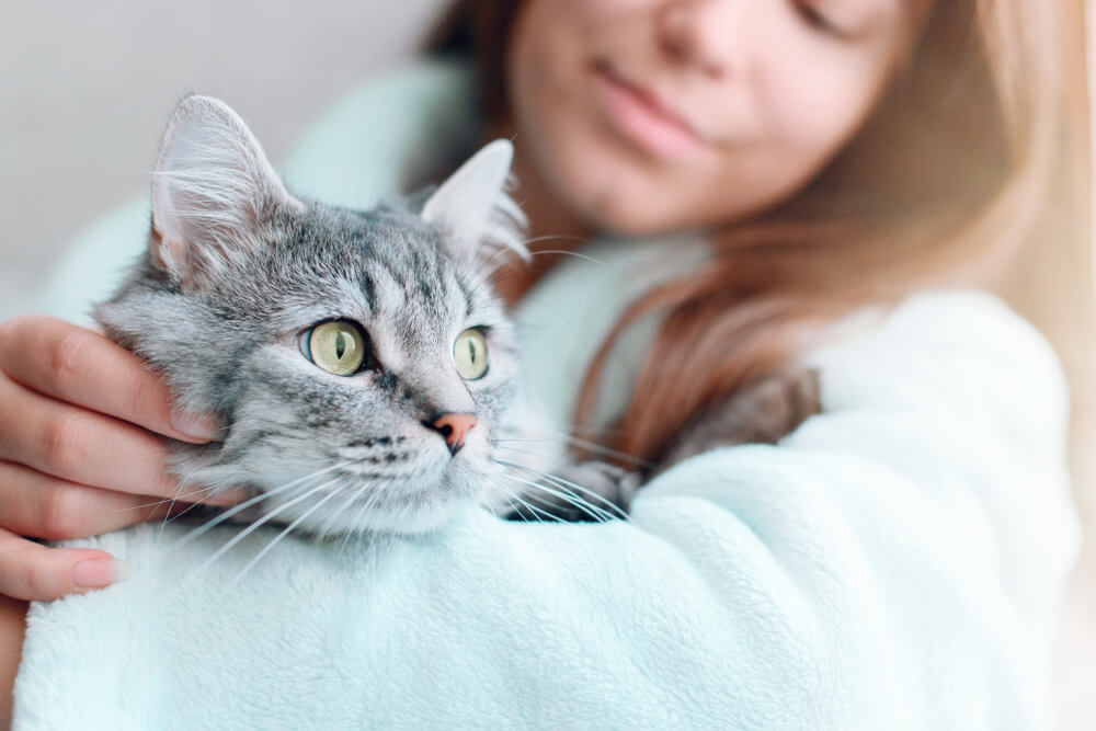 donna a casa che tiene in braccio e abbraccia il suo adorabile gatto peloso