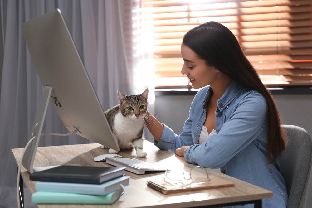 Giovane donna che accarezza il gatto a tavola