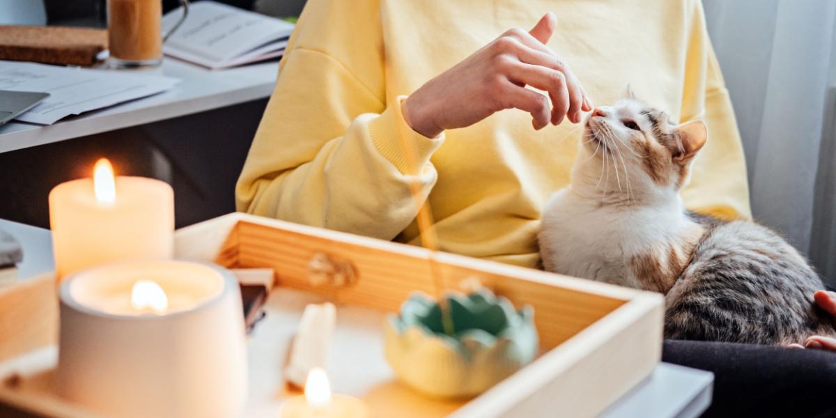 un gatto seduto vicino a un tavolo con delle candele accese, a sottolineare il potenziale rischio di incendio e la necessità di prestare attenzione.