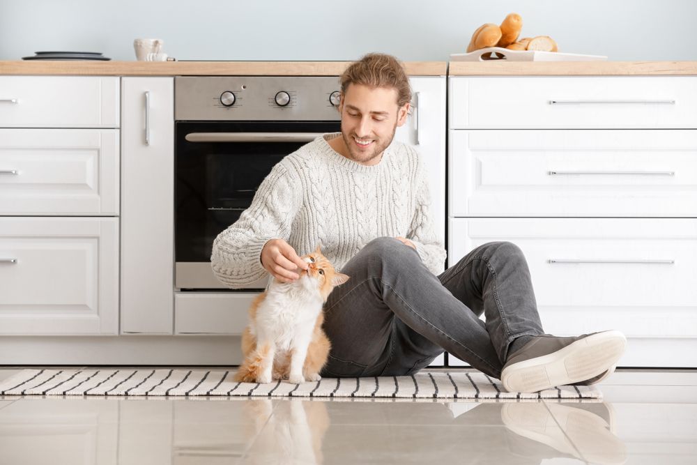 Uomo che nutre un simpatico gatto in cucina