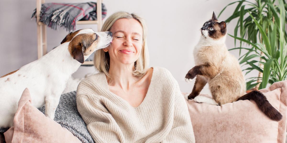 la donna si riposa sul divano con un cane e un gatto